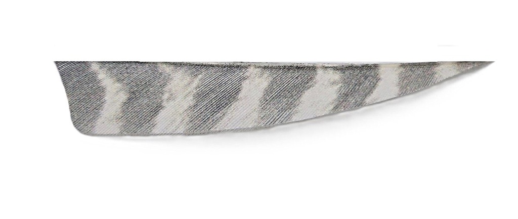 Naturfeder LW Shield 4" WildBarred