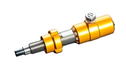 Rasterbutton Gold Beiter