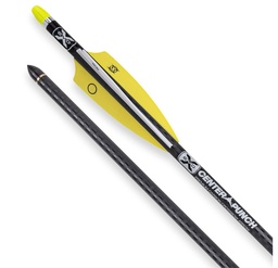 Armbrustpfeil EVO-X 20" CenterPunch Alpha-HP