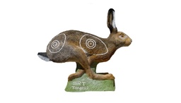 Hase laufend SRT